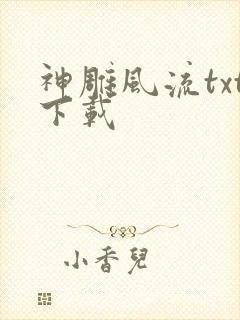 神雕风流txt下载