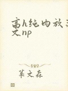 高h纯肉放荡h文np