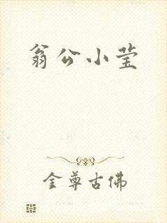 翁公小莹