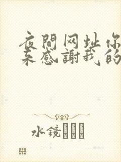 夜间网址你会回来感谢我的