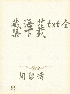 藏海花txt全集下载