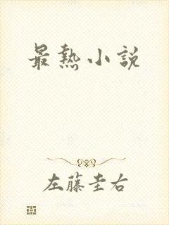 最热小说