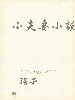小夫妻小说