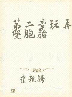 第二章玩弄少妇双胞胎