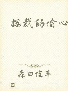 总裁的偷心娇妻