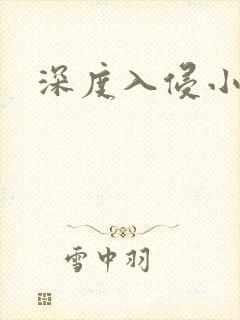 深度入侵小说