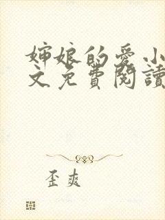 婶娘的爱小说全文免费阅读