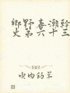乡野春潮干柴烈火第六十三章