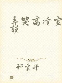 弄哭高冷室友小说