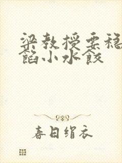 梁教授要稳住肉馅小水饺