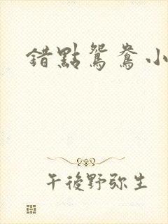 错点鸳鸯小说