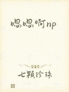 嗯嗯啊np