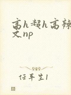 高h超h高辣h文np
