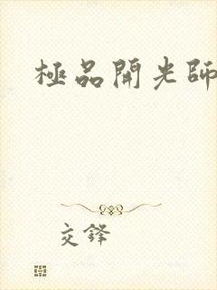 极品开光师