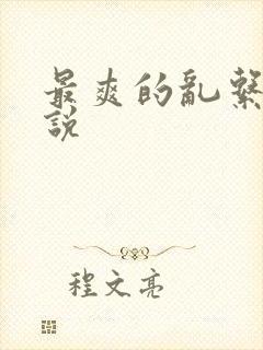 最爽的乱系列小说