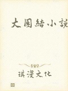 大团结小说阅读