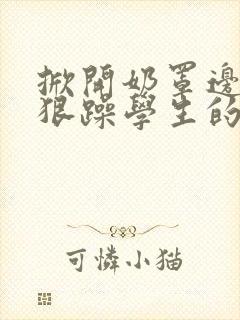 掀开奶罩边躁狠狠躁学生的小文字