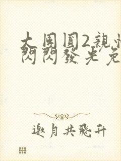 大团圆2亲情会闪闪发光免费