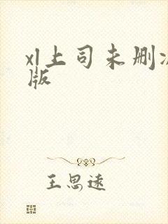 xl上司未删减版