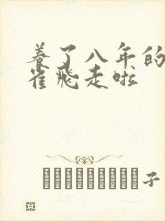 养了八年的金丝雀飞走啦