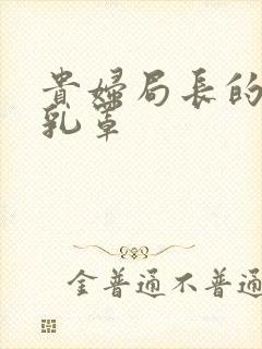 贵妇局长的蕾丝乳罩