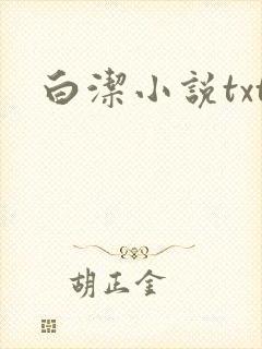 白洁小说txt