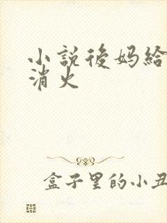 小说后妈给我消消火