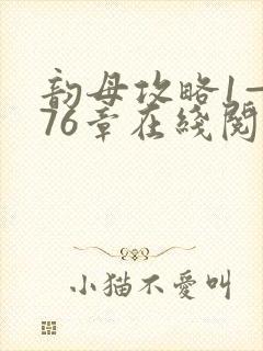 韵母攻略1—176章在线阅读