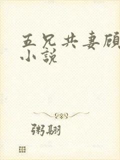 五兄共妻顾心儿小说
