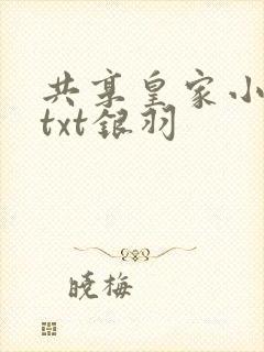 共享皇家小公主txt银羽