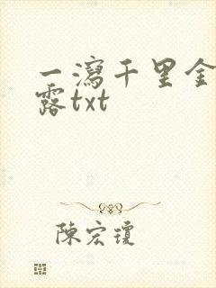 一泻千里金银花露txt