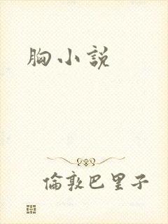 胸小说