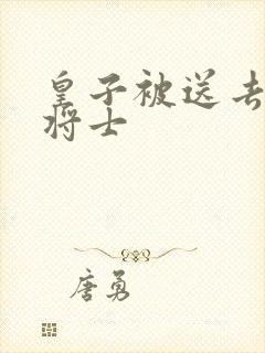 皇子被送去犒劳将士