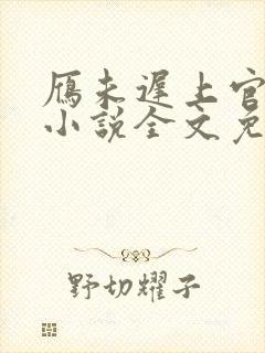 雁未迟上官穿越小说全文免费阅读