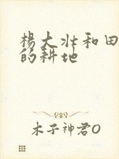 杨大壮和田桂花的耕地