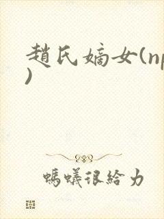 赵氏嫡女(np)