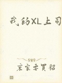我的XL上司