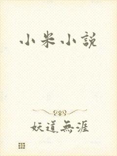 小米小说