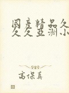 国产精品久久久久久亚洲小说