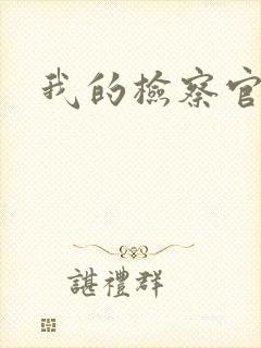 我的检察官先生