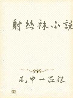 射丝袜小说
