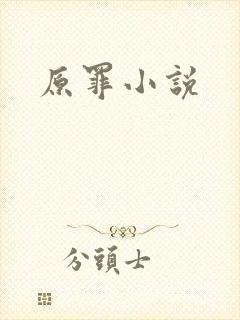 原罪小说
