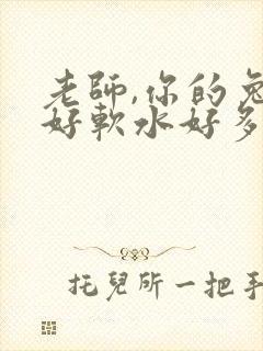 老师,你的兔子好软水好多