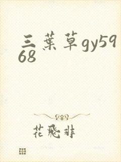 三叶草gy5968