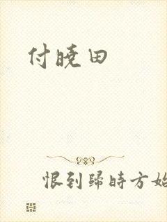 付晓田