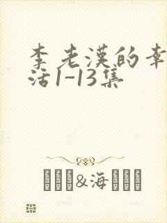 李老汉的幸福生活1-13集