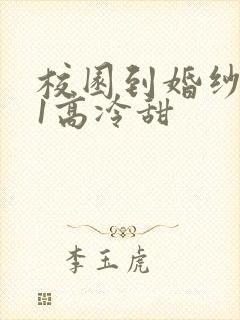 校园到婚纱1V1高冷甜