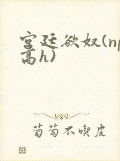 宫廷欲奴(np高h)