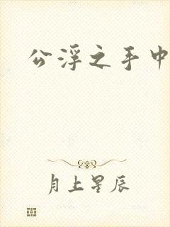 公浮之手中字5