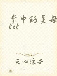 掌中的美母版主txt